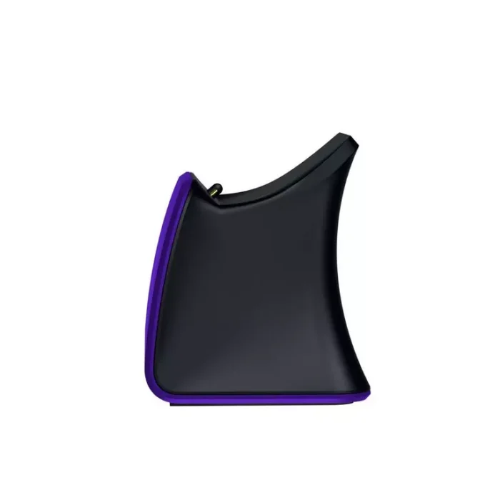 Razer Quick Charge Stand